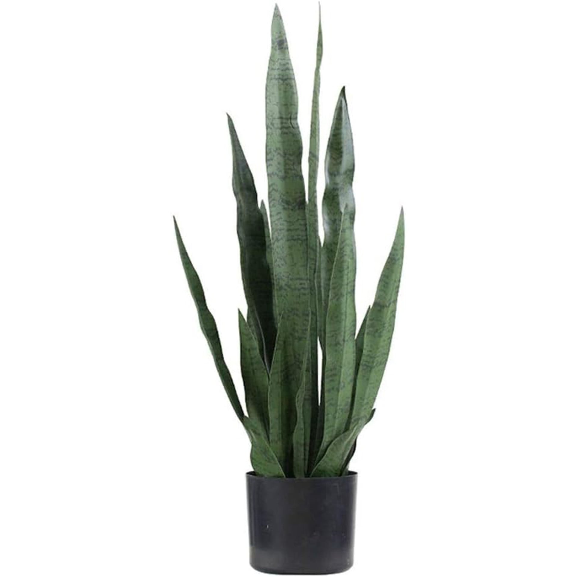 Artificial Lucky Plant Plant 90cm