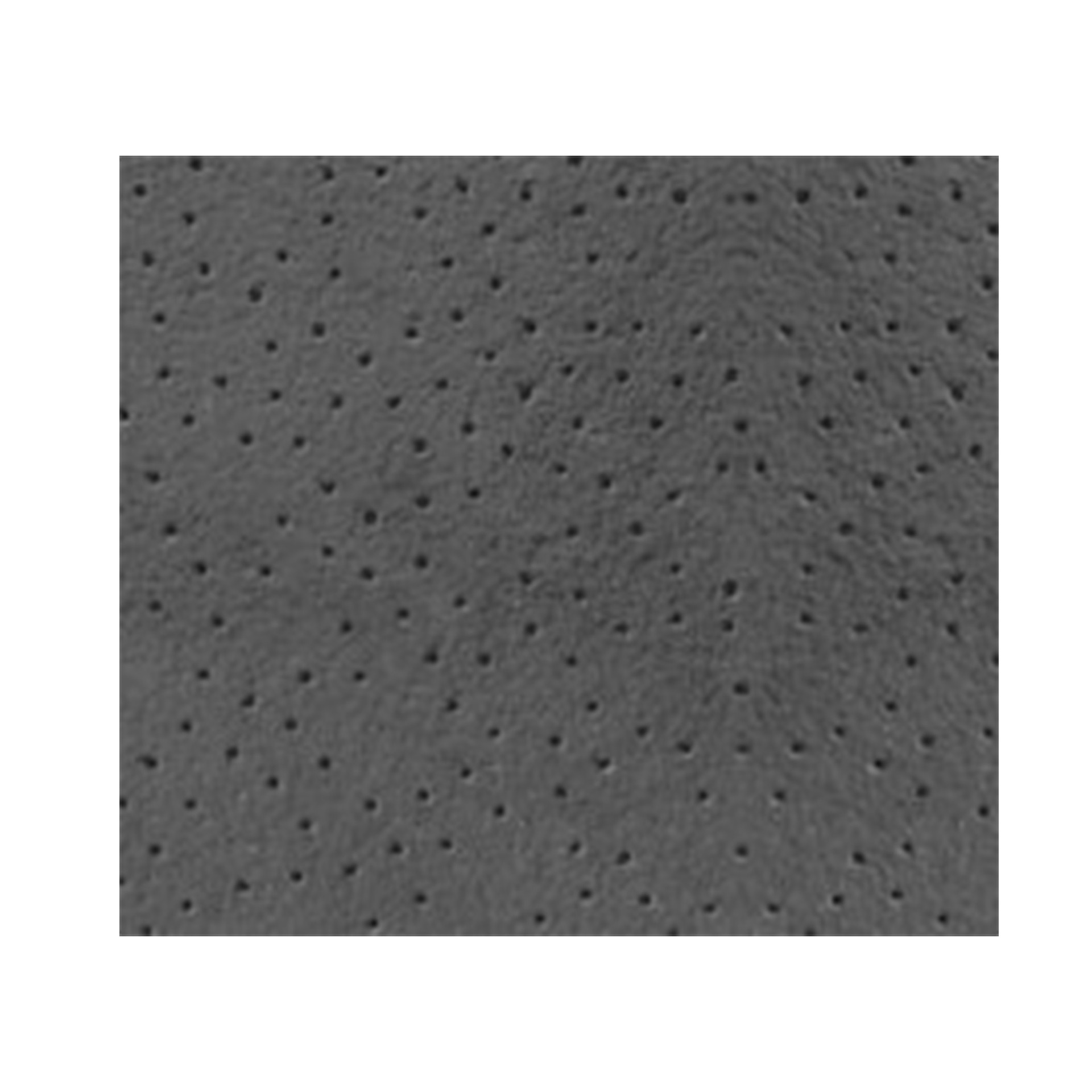 Black Suspended Ceiling Panel 1200 x 600 x 16mm (10pc/7.2sqm Ctn)