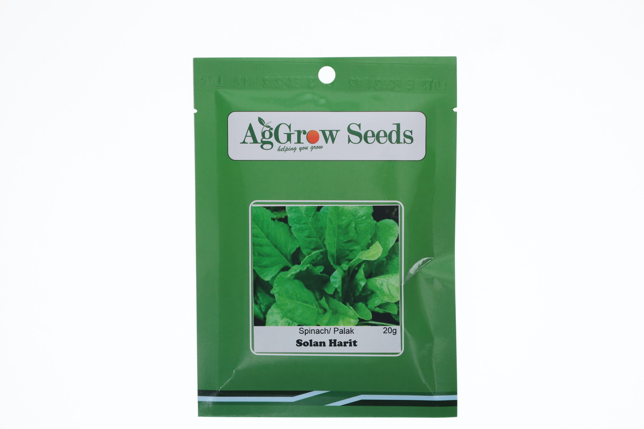 AgGrow Spinach (Palak) Seeds Solan Harit 20g
