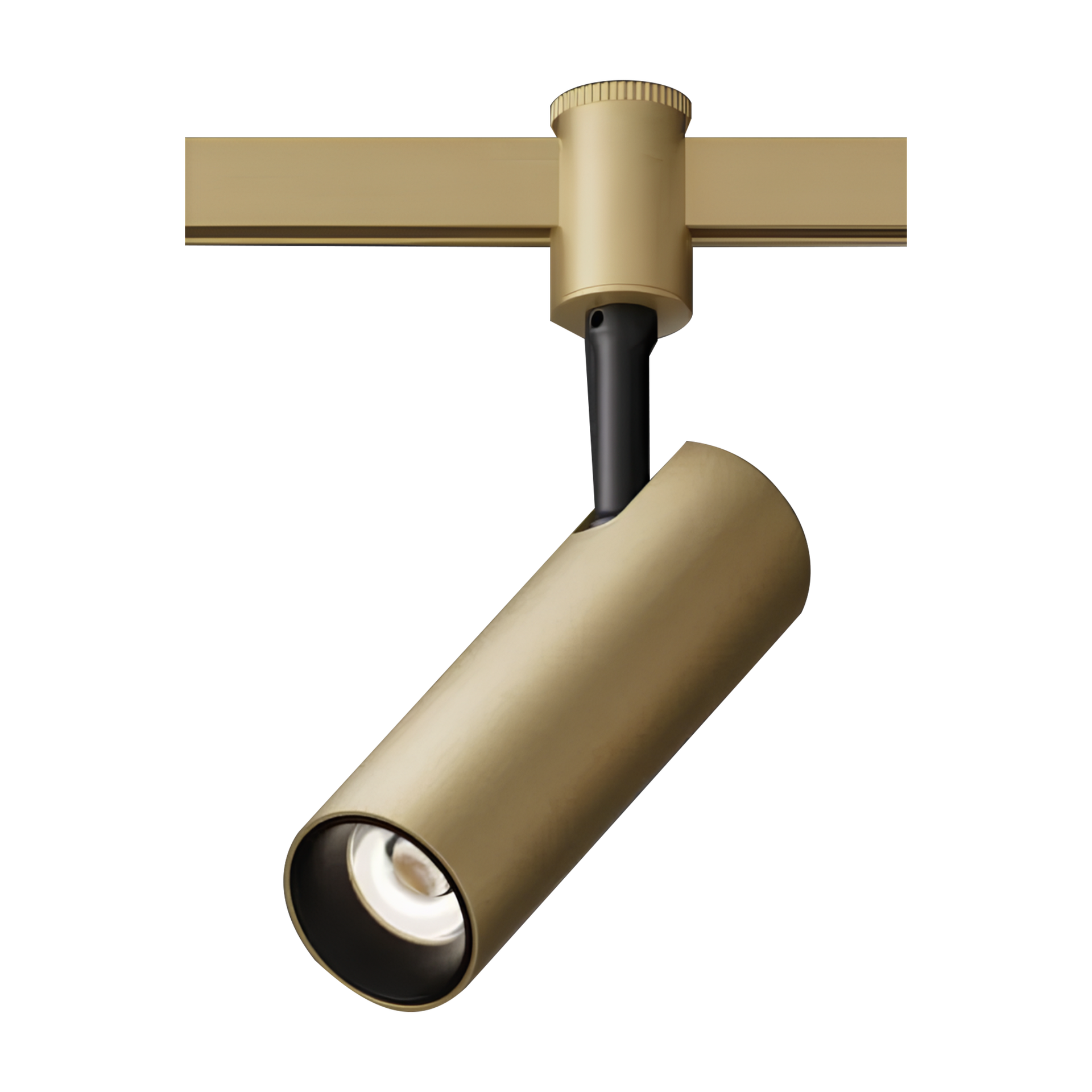 Light 48V 12W 3000K Golden