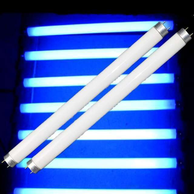 Bug Zapper Lamp 6W