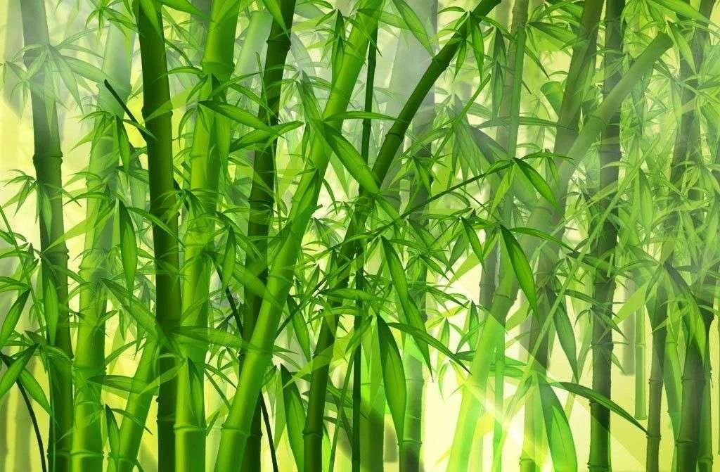 Xini UV Panel 2440 x 1220 x 3mm Bamboo Green