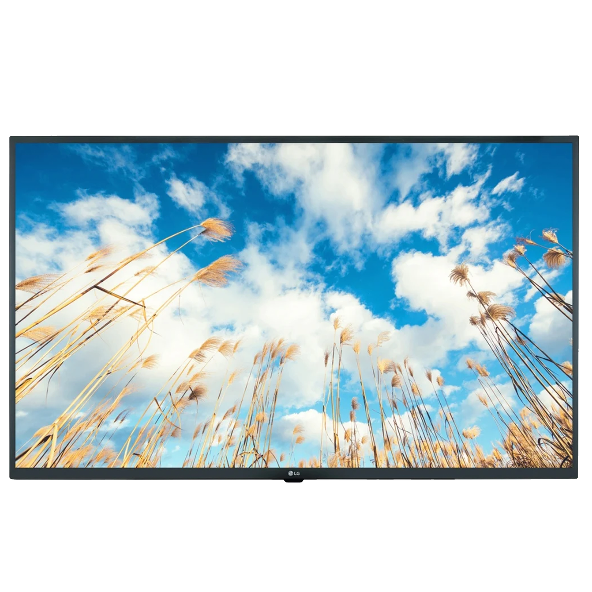 LG Commercial TV 55" 4K UHD Smart