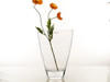 conical elliptic vase