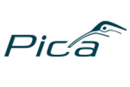 Pica