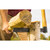 Lie-Nielsen kloofijzer 300 mm
