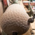 Arbortech Ball Gouge houtsnijhulpstuk Ø 30 mm
