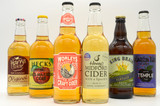 March Cider Box