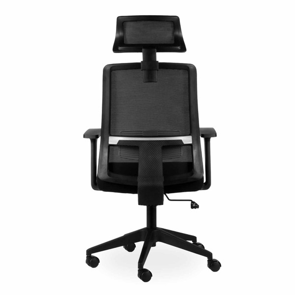 Carbon Ergonomic High-Back Chair