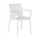Alexis Indoor and Outdoor Chair Bum-Seating (Pty) Ltd 181.74