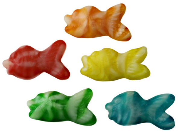 Colorful swirly gummy fish, a mix of bright fruity and creamy colors, in a large 6/4.4lb bulk case.