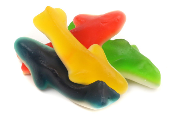 Vibrant assorted gummy sharks, 5lb 4-count, in cherry, lemon, lime, and blueberry flavors.