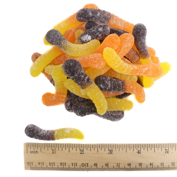 Mini Sour Fall Gummy Worms