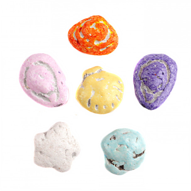 Assorted realistic brown chocolate seashells with crunchy candy shells, made from premium chocolate candy.