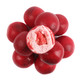 Single-color red Dubble Bubble Very Cherry gumballs for candy buffets and vending