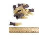 Sour Gummy Cola Bottles by Clever Candy, brown, 2-inch, approx. 60 pieces per pound.