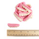 Vibrant pink Gummy Teeth candy, chewy and fruity, ideal for Halloween. Approx. 35 pieces per pound.
