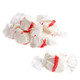 Peppermint Salt Water Taffy, white with red stripes, approximately 60 pieces per pound, refreshing peppermint flavor, USA made, gluten-free.