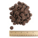 Bulk unwrapped mini Hershey's Kisses piled together for baking and decorating with ruler to show size.