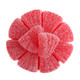 image of gummy pink grapefruit