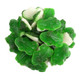 Vidal Gummy Green Frogs, fruit flavored, cute green frogs with white bellies, approx 73 per pound, St. Patrick's Day candy.