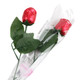 10 ruby red foil-wrapped Belgium milk chocolate roses, elegant Valentine's Day and anniversary candy.