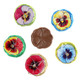 Madelaine Chocolate Flower Pansies, solid milk chocolate, bite-sized, approx 55 pieces per pound, assorted colorful foils.