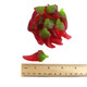 Red, chili pepper-shaped Gummy Red Hot Chili Peppers, sweet, spicy, fruity, approx 60 pieces per pound.