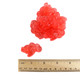 Vibrant pink gummy flamingos, about 2 inches tall, approximately 60 per pound, chewy and fruity.