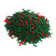 Holly Berry Sprinkles, dark green sprinkles and tiny red confectionery balls, perfect for Christmas desserts.