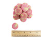 Vidal Watermelon Lime Sour Gummy Bites, vibrant green and red candy, approx 45 pieces per pound.