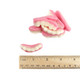 Pink, lifelike Vidal Gummy Teeth, strawberry flavored, approximately 90 pieces per pound.