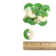 Green and white Albanese Gummy Apple Rings, sugar-coated, chewy, apple flavor. Approximately 65 rings per pound.