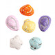 Assorted realistic brown chocolate seashells with crunchy candy shells, made from premium chocolate candy.