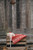 Sandnes Garn Tema 66, Putty Jul, Putty Christmas patterns, holiday pattern book