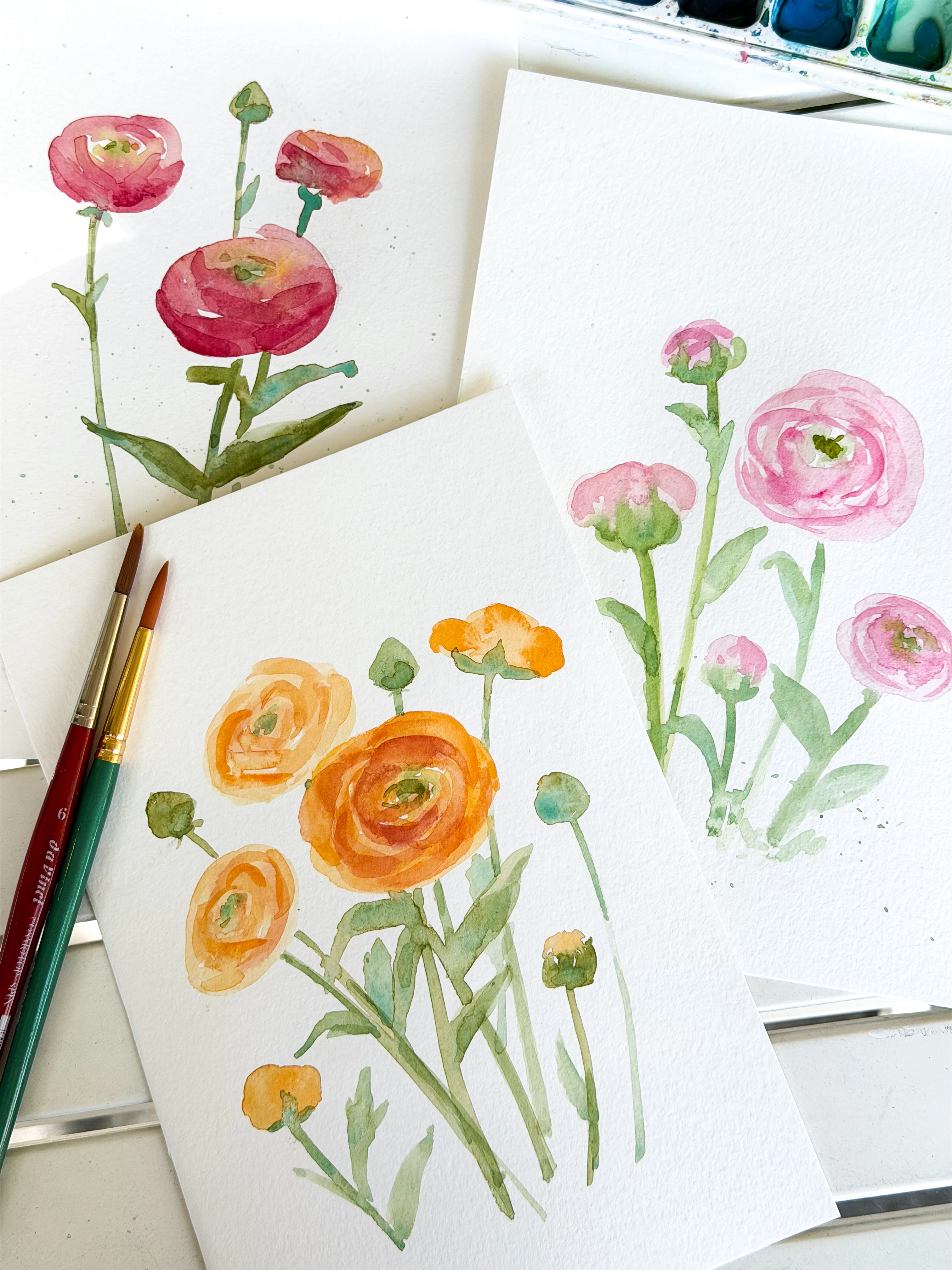 Watercolor class, local watercolor class. Beginning watercolor San Carlos, CA, Bay Area Watercolor Class