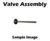 2418383 Exhaust Valve