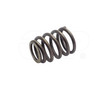 4360519 Valve Spring