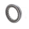 2500839 Bearing, Cylindrical Roller