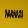 1011177 Valve Spring