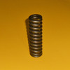 1376718 Valve Spring