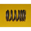 2S4213 Valve Spring