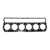 1193790 Gasket, Head