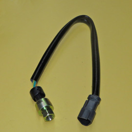 2168684 Sensor Group