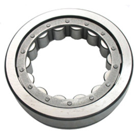 1M8776 Bearing, Race Outer