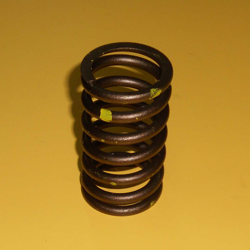 3165976 Valve Spring