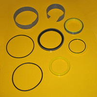 2422538 Seal Kit