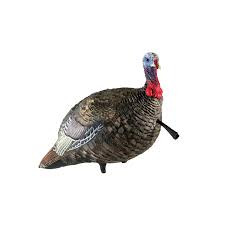 Avian-x Avian X Quarter Strut Jake Turkey Decoy, life-like turkey decoy with detailed feathers and a realistic appearance for hunting or wildlife observation.