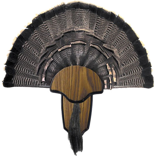 Hunters Specialties Turkey Mount Kit Tail & Beard, decorative turkey display with mounted tail and beard, ideal for hunting enthusiasts and turkey mounting projects.
