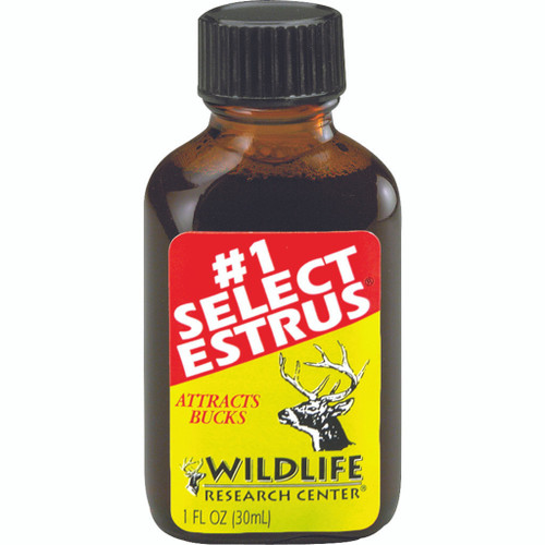 Wildlife Research #1 Select Estrus 1 Oz, a small amber glass bottle with black cap and bright yellow label featuring a deer illustration and text indicating its use to attract bucks.